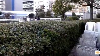 乱录目伦500篇小说 - HD全集免费播放